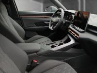 Cupra Terramar - Vorschau Bild 10