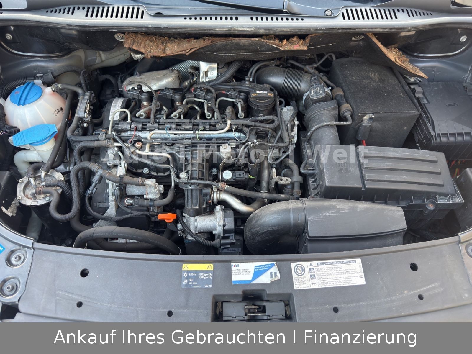 Fahrzeugabbildung Volkswagen Caddy Kasten/Kombi JAKO-O Trendline DSG AHK/SHZ