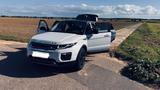 Land Rover Range Rover Evoque 2.0 TD4 132 kW SE Autom. SE - Land Rover Range Rover Evoque in Mönchengladbach