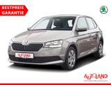 Skoda Fabia 1.0 TSI Cool Plus Klima Sitzheizung AHK - graue Skoda Fabia