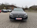 Mercedes-Benz E 350 E -Klasse T-Modell E 350 BlueTec 4Matic - Mercedes-Benz E 350 mit Diesel-Antrieb: Kombi