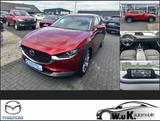 Mazda CX-30 SKYACTIV-G 2.0 M Hybrid 6GS AL-SELECTION A - Mazda CX-30 aus 2019