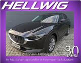 Mazda CX-30 2.0l (150PS) Selection Design-Paket Matrix - Mazda CX-30 Selection mit Benzin-Antrieb