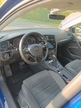Volkswagen Golf 1.5 TSI ACT OPF DSG Highline Highline - VW Golf Gebrauchtwagen in Augsburg