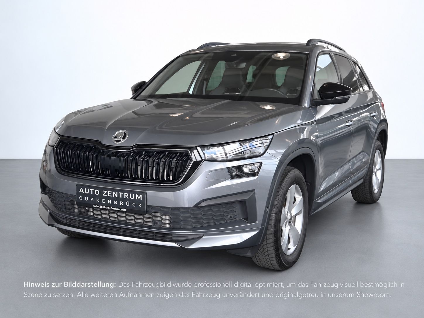 Skoda Kodiaq 2.0 TDI 4x4 Matrix Navi Virtual Cam AHK