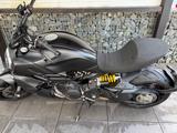 Ducati Diavel 1260 - Offers matching your search criteria