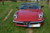 Alfa Romeo Spider - Alfa Romeo aus 1986
