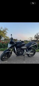 Honda Hornet cb600fa - HONDA 2007 HORNET 600