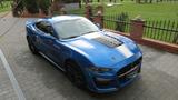Ford Mustang 5.0-V8 GT 500 SHELBY KIT/CARBON/SHZ/NAVI - Ford Mustang: Shelby Gt500