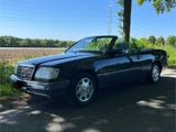 Mercedes-Benz Mercedes W 124 Cabrio Sportline - Mercedes-Benz: W124 Sportline