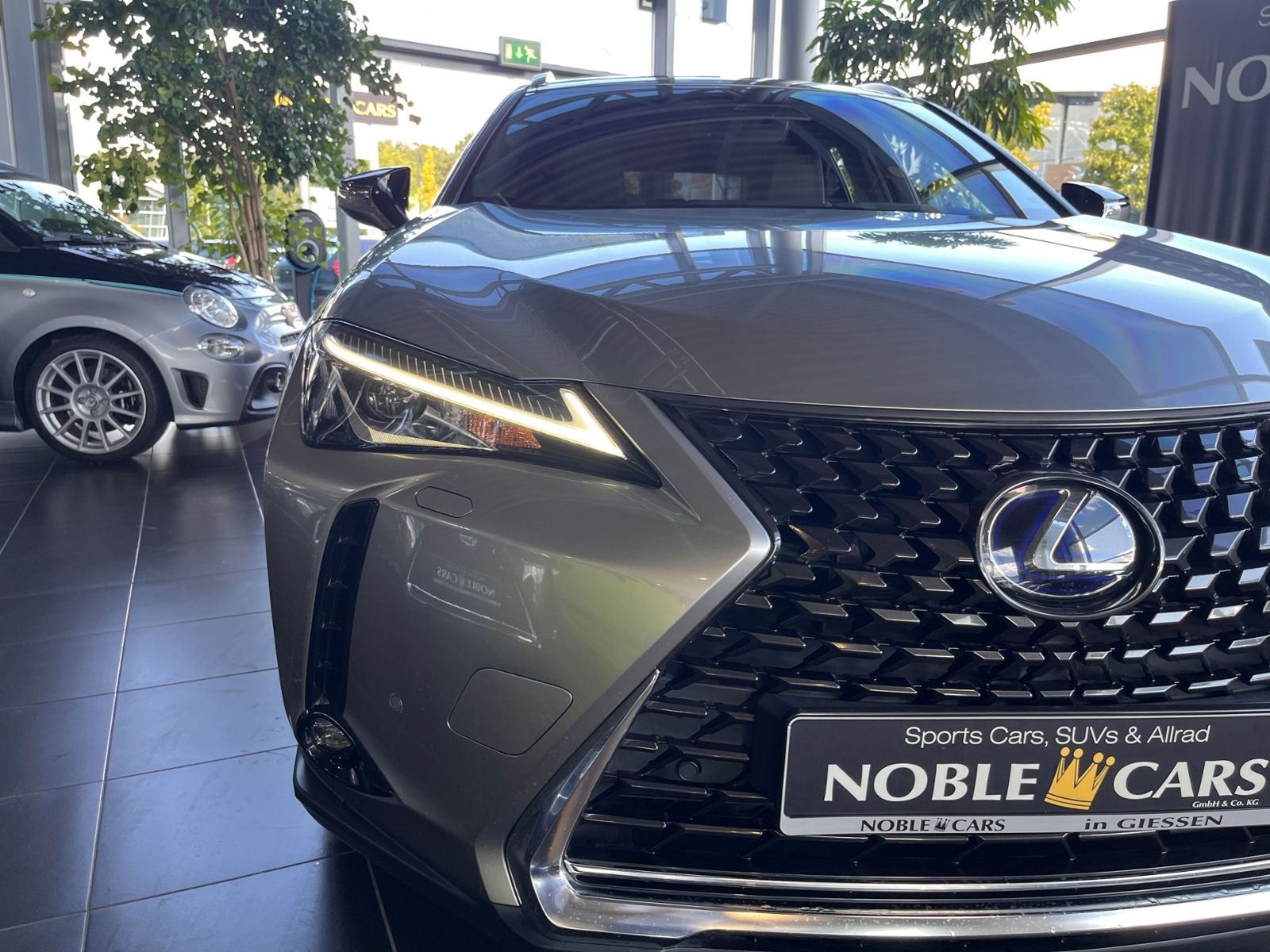 Fahrzeugabbildung Lexus UX 250h Launch Edition LED AHK NAV RFK SHZ ALU
