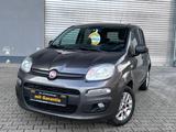 Fiat Panda More - Fiat Panda in Wiesbaden