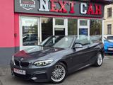 BMW 218  i M Sport|Aut.|Navi|Leder|Cabrio - BMW: Silber, Cabrio