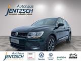 Volkswagen Tiguan Comfortline AHK/Sitzh./ACC - Volkswagen: Grün