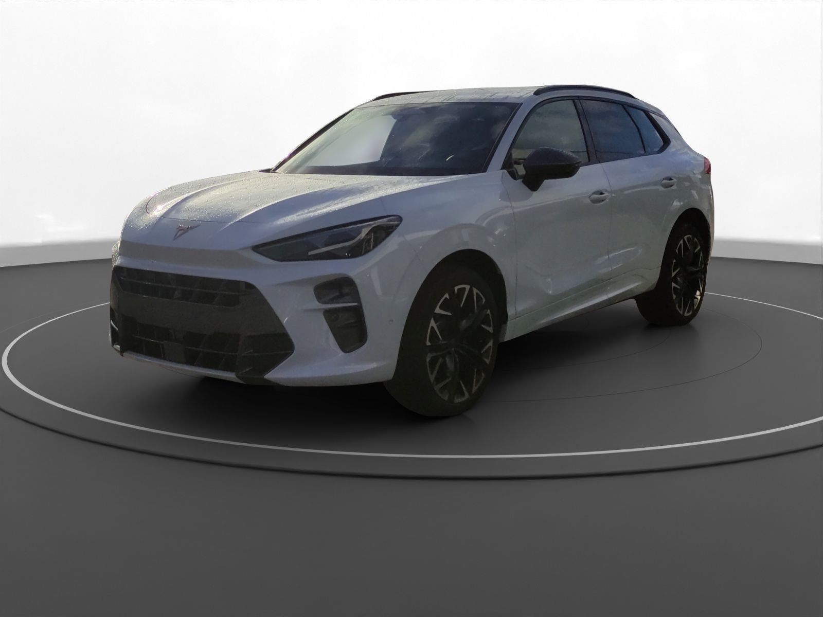 Cupra Terramar - Bild 2
