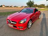 Mercedes-Benz SLK 250 CDI | AMG-Line | Automatik - Mercedes-Benz SLK 250: Cdi