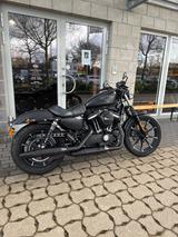 Harley-Davidson XL883N Sportster Iron - Offers