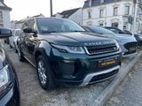 Land Rover Range Rover Evoque Pure 2,0L AUTOMATIK - Land Rover: Evoque