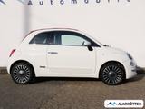 Fiat 500C 1.2 8V Lounge /PDC/Privacy Glass/ - Fiat 500C: Lounge