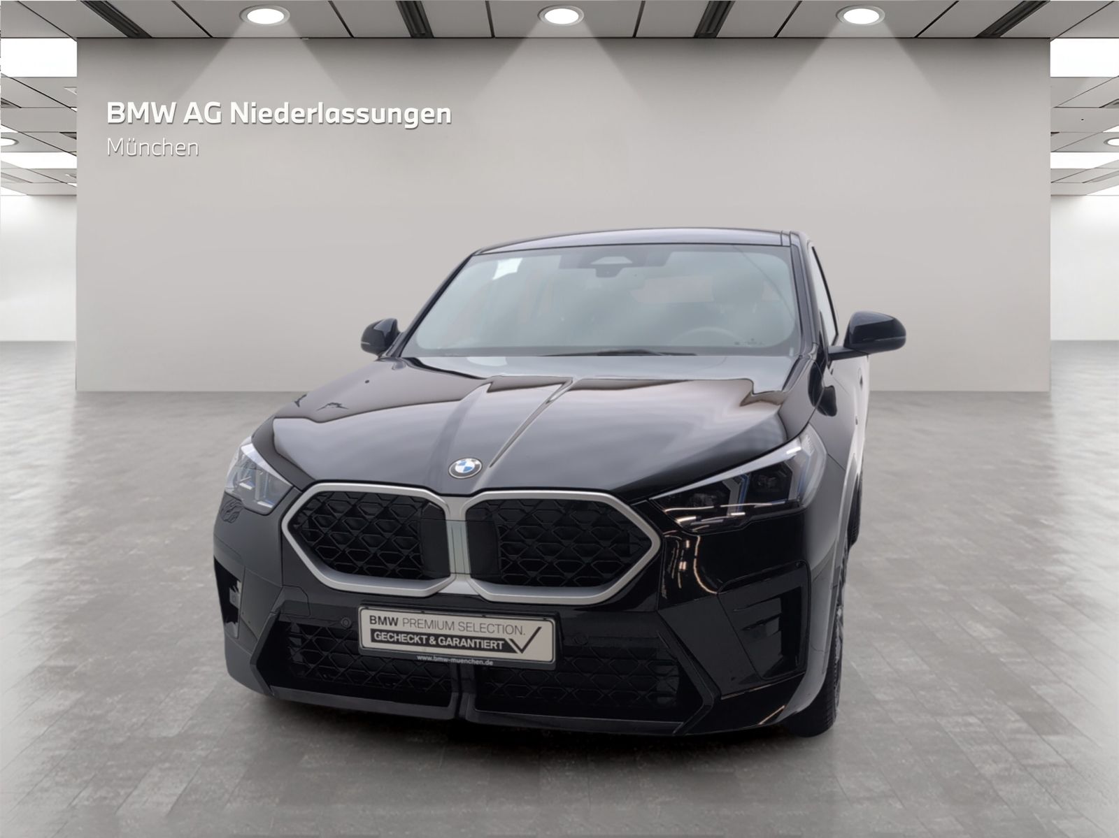 BMW X2 xDrive20d M Sport AHK Driv.Assist Harman K foto 4