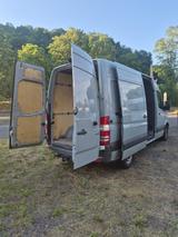 Mercedes-Benz Sprinter 316 CDI Kamera L2 H2 AHK. 3,5t 270° 3si - Tier-/Pferdetransport 3 5t