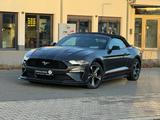 Ford Mustang Shelby GT 500 Look Convertible *Gepflegt - Ford Mustang: Cabrio, Shelby Gt500