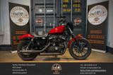Harley-Davidson XL883N Iron 883-Remus-Auspuff-Ape-Lenker-TOP! - Offers matching your search criteria