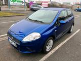Fiat - Punto - Fiat Punto Gebrauchtwagen in Nürnberg