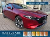Mazda 3 Takumi Leder Matrix 360° BOSE Freisprech ACC S - Mazda 3 New cars
