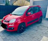 Fiat Panda Erdgas CNG - Fiat New Panda von privat