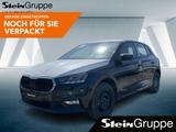 Skoda Fabia 1.0 MPI Selection DAB+LED+PDC+KAMERA - Skoda Fabia Neuwagen