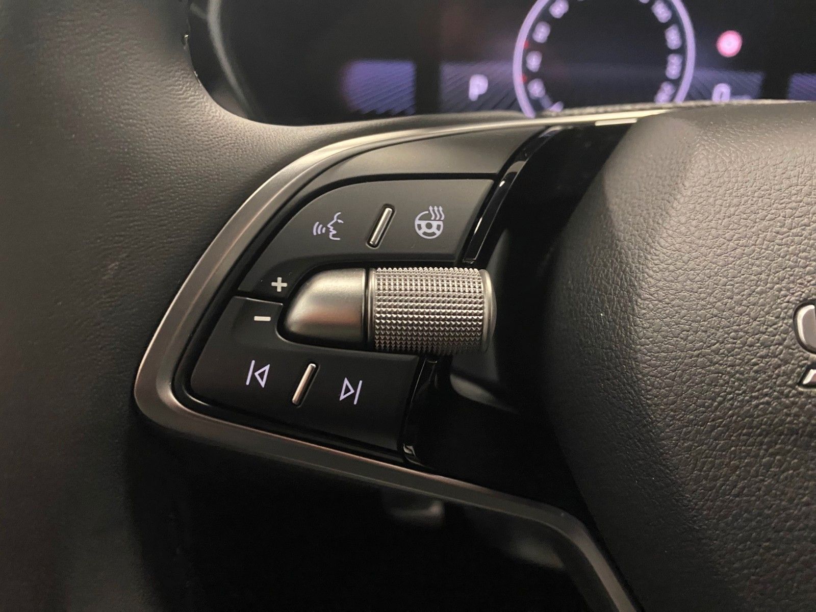 Fahrzeugabbildung SKODA Fabia 1.0 TSI DSG Selection+GARANTIE 2030 100tKM