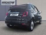 Fiat 500C 1.0 Hybrid FireFly Cult WR Einparkhilfe - Fiat Gebrauchtwagen von 2021