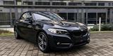 BMW 220 d Cabrio Sport Line*Xenon*Leder*Navi*Kamera* - BMW 220 in Stuttgart