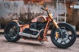 Harley-Davidson FXDRS - Custom Bike - Mega Umbau! TOP! - Offers matching your search criteria