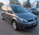 Volkswagen Caddy Maxi 7-SITZER Roncalli - Volkswagen Caddy aus 2011: Maxi