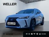 Lexus UX 250h Style Edition *Bi-LED*ACC*CAM*SHZ*CarPla - Lexus