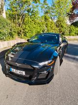 Ford Mustang 5.0 V8 GT Shelby Optik - Ford Mustang: Schwarz, Shelby