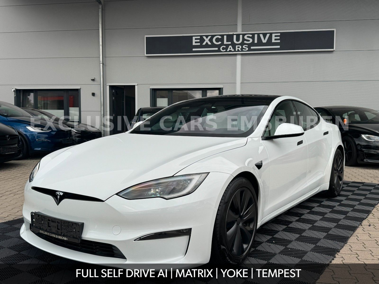 Tesla MODEL S PALLADIUM | FULL SELF DRIVE AI | MATRIX