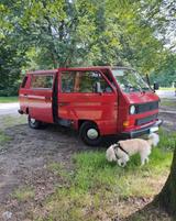 Volkswagen T3 Bulli LKW mit H Zulassung - Volkswagen T3 in Düsseldorf