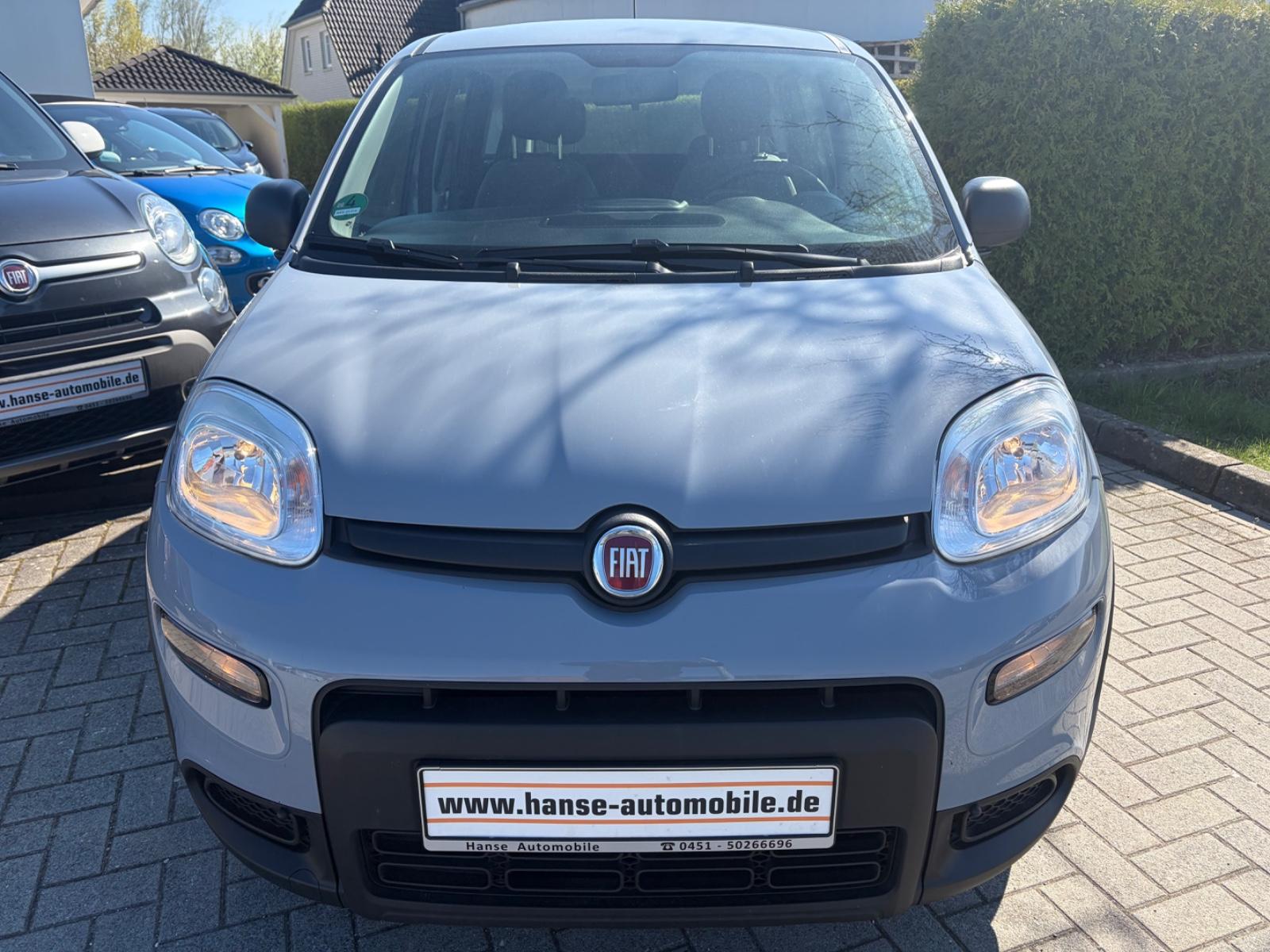 Fiat Panda 1.0 Hybrid GSE Cross-Klima-1.Hd-Allwetter-