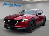 Mazda CX-30 Homura SKY.-X 186 HUD Navi LED ACC El. Hec - Mazda CX-30 Homura mit Benzin-Antrieb
