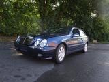 Mercedes-Benz CLK 230 KOMPR.1.Hd Org.74TKM Garagenwagen  - Mercedes-Benz CLK 230: Coupe
