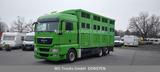 MAN TGX 26.480 XL KABA   3 Stock Viehtransporter - MAN Tgx 26 480