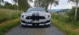 Ford Mustang GT 350 Shelby - Ford Mustang: Gt350