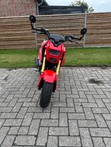 Honda MSX Grom 125 - Offers