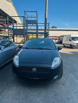 Fiat Punto 1.4 16v - Fiat Punto Gebrauchtwagen in Stuttgart