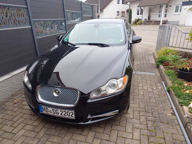 Jaguar XF 3.0 V6 Diesel Luxury Luxury