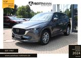 Mazda CX-5 SoMo Aut. AWD TAKUMI /ACC/360°/LEDER/GSD - Mazda CX-5: Takumi
