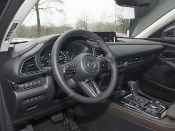 Mazda CX-30 Takumi LederAlexa360°BoseMatrix-LEDHe
